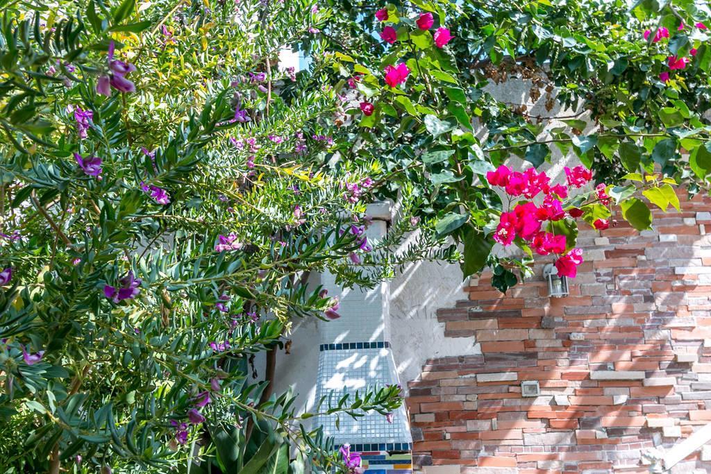 Villino Claudia 30 Mt Mare Villa Porto Cesareo Ngoại thất bức ảnh